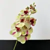 Pequena Flor Artificial de Orquídea Borboleta 3D com Textura de Alta Qualidade, Orquídea Falsa para Casamento e Decoração de Casa