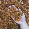 Goma de Durazno Nieve Golondrina Saponina Arroz 500g Sanbao Empaque Independiente Varias Especificaciones Combinación a Granel Punto Mayorista