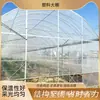 Galpão Isolado Filme Plástico Galpão de Cultivo de Vegetais Estufa Simples de Plástico Estrutura de Tubo de Aço Estufa Completa para Plantio