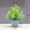 Punto Nuevo Bonsái Plantas de Decoración para el Hogar Pequeños Adornos Flores Artificiales Plantas Verdes Plantas en Maceta Flores Artificiales Fábrica Venta al Por Mayor