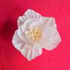 Flores 3D de Papel Colorido Amassado com Borda Enrolada para Vitrine de Loja, Decoração de Janela, Quarto de Casamento, Festa de Aniversário, Flores para Decoração de Jardim de Infância