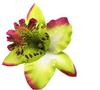 Pasador de Flor de Orquídea Tailandesa Hawaiana Pinza Lateral de Flor para Sesión de Fotos en la Costa Accesorios para el Cabello Bohemianos de Vacaciones para Niñas