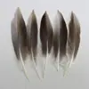 Venda Direta de Fábrica de Quase 100 Tipos de Acessórios Naturais de Penas Pequenas para Joias DIY, Acessórios de Cabeça, Broches, Chapéus, Materiais de Decoração para Artesanato
