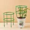Soporte para Flores de Orquídea Pinza de Cangrejo Soporte para Plantas Trepadoras Estaca de Soporte para Flores de Jardín Herramienta para Jardín y Bonsái Soporte Semicírculo