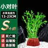 Pedra Vulcânica Plantas Aquáticas Plantas Hidropônicas Paisagismo de Aquário Plantas Aquáticas Salgueiro-d'água Grama-centopeia Crisântemo Verde Plantas Aquáticas Tolerantes à Sombra Plantas Reais Atacado