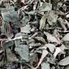 Hueso Pequeño Hueso, Materiales Medicinales Chinos, Hueso Pequeño Salvaje Hueso, Hueso Pequeño Hueso Hueso, Hueso Hueso Hueso, Fénix Rojo, Auténtico 500g Medicina China