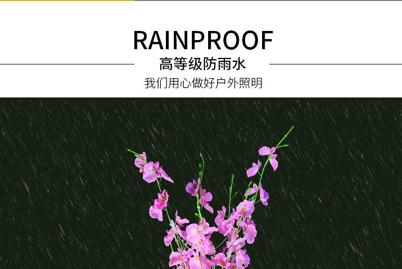 详情_01_03.jpg