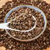 Trigo Sarraceno con Cáscara para Cotorras, Periquitos y Periquitos; Alimento de Alforfón para Loro; Venta al por mayor y al por menor con opciones de Dropshipping