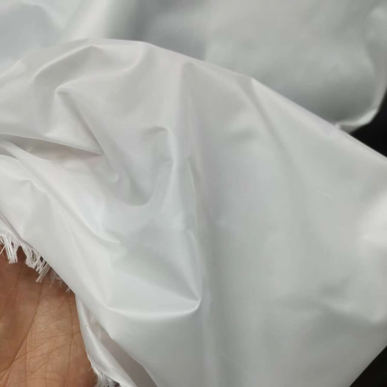 微信图片_20250107162923