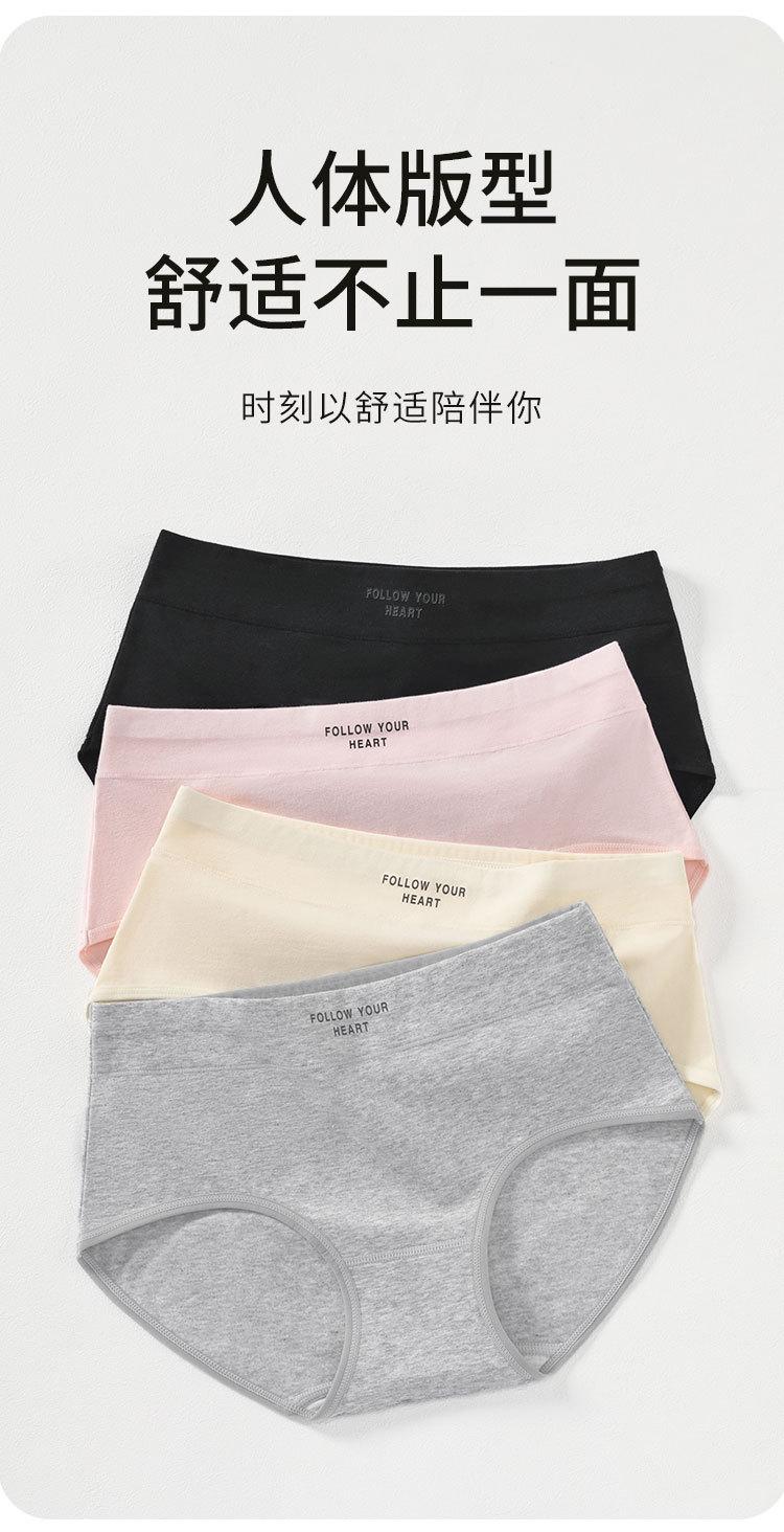 1543详情_08.jpg