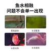 Probióticos Específicos para Aquário Ba Yin Mei Solução Nutritiva Nitrificante para Cuidado de Peixes Arowana e Purificação de Água para Peixes Ornamentais