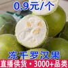 Fornecimento Direto da Fábrica de Luo Han Guo Liofilizado, Fabricante de Luo Han Guo Liofilizado Seco a Vácuo em Baixa Temperatura, Venda por Atacado de Chá de Luo Han Guo Liofilizado