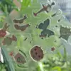 Pegatina de Gel de Atmósfera Ins Dibujos Animados Tridimensional Lindo Estilo Coreano Ballet Mariposa Oso Funda para Teléfono Computadora DIY Impermeable