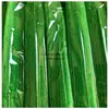 Esponja Filtro para Geladeira Folha Verde Geladeira Abertura Total Espuma Expansiva Conservação de Frutas e Filtro de Sabor