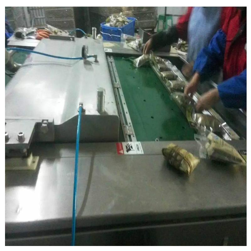 粽子800白底