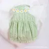 Roupas de Verão para Gatos, Saia Fofa para Evitar Queda de Pelo, Padrão Gradiente Dourado Moderno para Gatos Ragdoll e British Shorthair, Vestido de Alça de Verão