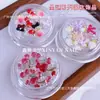 Venda Quente Transfronteiriça Decorações de Morango para Unhas Flores de Frutas Desenho Animado Borboletas Unhas Vestíveis Materiais Conjunto de Pedras de Strass Caixa de Acessórios Atacado