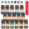 Aceite Esencial de Planta de Aromaterapia Soluble en Agua Perfumeoil Perfume Aceite Esencial de Aromaterapia Fragancia de Larga Duración Aceite Esencial de Aromaterapia Fresco