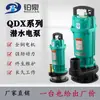 Série Qdx 220V Bomba Submersível Pequena Doméstica Irrigação Agrícola Alto Levantamento Grande Vazão Grande Diâmetro Bomba de Água