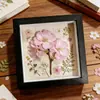 Marco de Fotos Hueco Tridimensional Cuadrado Profundidad 1.6cm Marco de Muestras en Relieve para Insignias, Flores Secas, Marco de Exhibición para Enmarcado DIY