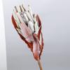 Flor Artificial Rama Grande Color Otoño Arreglo de Flores Artificiales Decoración Flor Overlord Terciopelo Arte Floral Flor de Boda Retro Flor Imperial