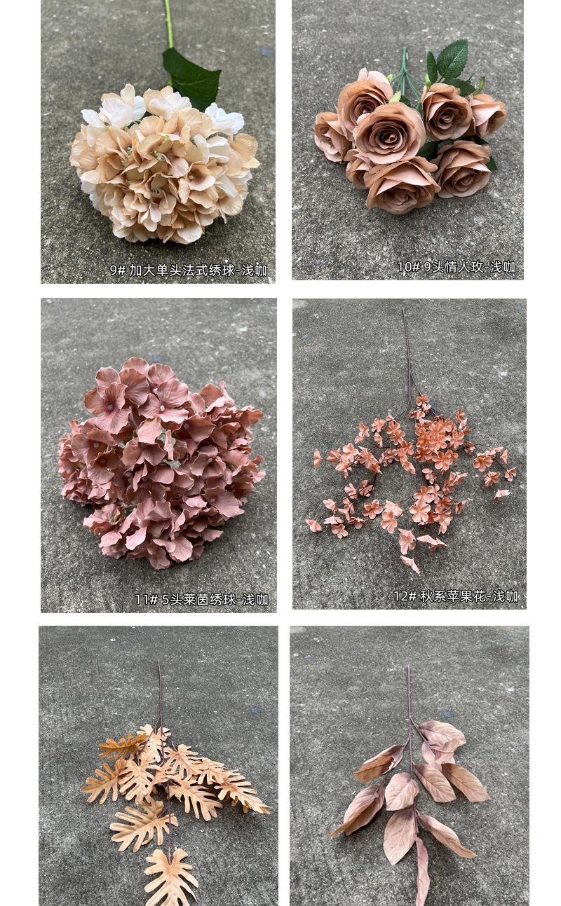 中号飞燕草-详情_08.jpg