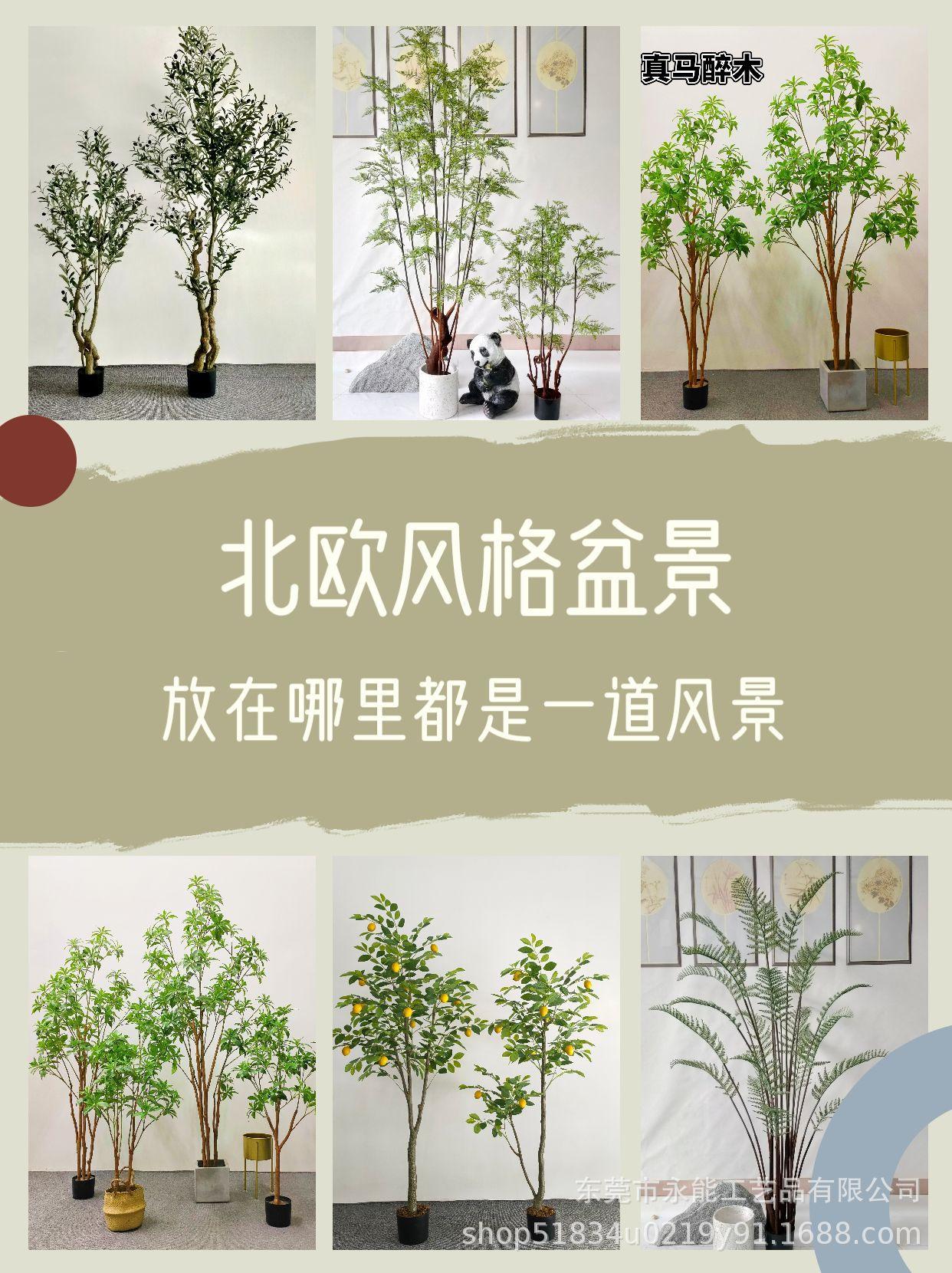 867987ff8334dc02f977a9407391a5