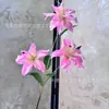 Lirio Pequeño Impreso en 3D en Azul y Morado para Accesorios de Fotografía de Bodas, Decoración del Hogar, Escaparates y Flores Artificiales Rojas