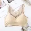 Ropa Interior Nueva de Verano Mariposa Hilo de Seda Hielo Látex Espalda Hermosa Chaleco Reductor de Busto Sujetador sin Costuras Push-Up Sujetador Deportivo