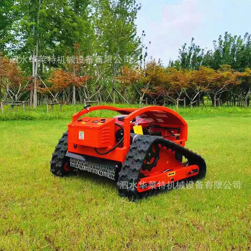 u=4273323575,2835896303&am