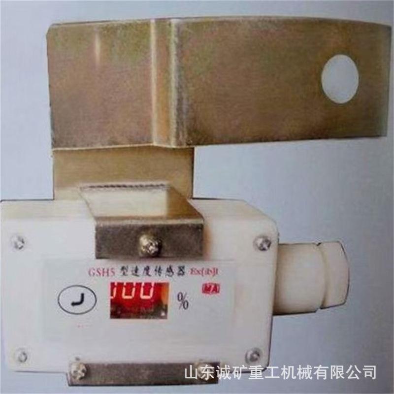 GWD100 矿用温度传感器 使用方便 产品耐用 操作简单