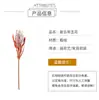 Flor Seca Artificial Estilo Americano Flor Huaiqiu Decoración de Arreglo Floral Flor Overlord Afelpada Decoración de Muebles Personalizados Ramas Grandes Flor Imperial Retro
