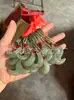 Lámpara Colgante de Aventurina Natural Verde Claro Mariposa Calabaza Cisne Kou de Paz Cadena para Clavícula Collar Colgante