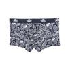 Atacado de Roupa Íntima Masculina Transfronteiriça Russa Novo Estilo Estampada Personalizada Tendência Jovem Modal Respirável Elástica