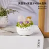 Cuentas pequeñas de cristal natural, bolas de cristal en bruto, lindos adornos pequeños para la oficina, al por mayor
