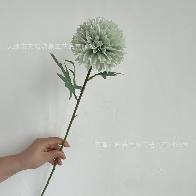 微信图片_202206141501375_副本