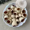 Cáscara de Fruta de Palo de Hierro Encaje de Huevo de Fénix Kit de Materiales Hechos a Mano DIY Colgante de Campana de Manivela Accesorios Autodiseñados