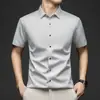 Camisa de Manga Corta para Hombre de Seda de Morera de Gama Alta para Verano, Talla Grande, Lujo Ligero, Seda Genuina, Casual de Negocios, Color Sólido, No Planchar, Resistente a las Arrugas