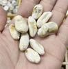 Carcasa acrílica tipo guijarro pequeño irregular con forma natural, cuentas para cadena de teléfono móvil hecha a mano DIY, accesorios para collar, venta al por mayor
