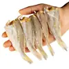 Pescado Salado Semi-Seco Secado al Sol Recién Hecho, Pescado Amarillo Pequeño Seco, Pescado Blanco Seco, Pescado Flor Amarilla, Especialidad Secada al Aire, Hecho en Casa por Pescadores