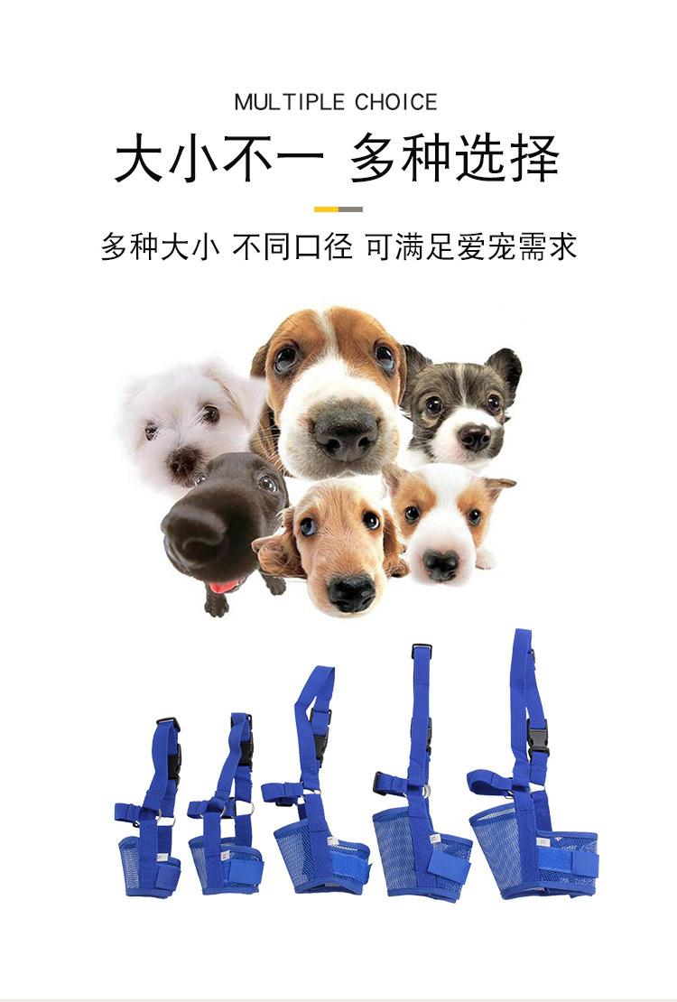 13181703826_1434082050