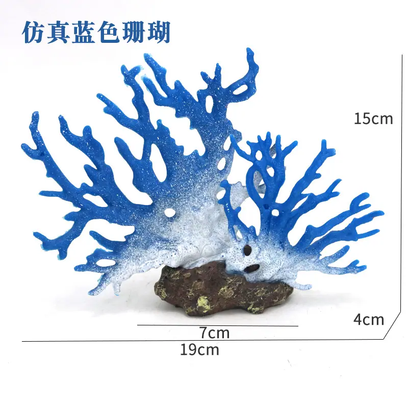 蓝色珊瑚尺寸