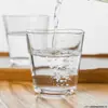 Vaso de Vidrio Transparente para el Hogar Importado del Océano, Taza para Beber, Taza de Leche, Vaso de Cerveza, Resistente al Calor, Taza para Té Verde, Vaso de Cristal para Infusiones