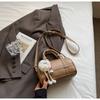 Elegante Bolso Almohada 2025 Nuevo Bolso Bolso de Mano para Mujer para Ir al Trabajo Bolso de Hombro Cruzado para Mujer Ligero Elegante a la Moda