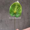 2026 Novo Modelo de Alta Gama Parede de Plantas Artificiais com Plantas Verdes Estilo Natural Paisagem de Plantas Paisagismo de Jardim Plantas Artificiais em Vasos