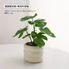 Plantas Simuladas Decoração Escandinava Pequenos Vasos Plantas de Escritório Sala de Estar Mesa Enfeites de Bonsai Interno Bionicas Flores Falsas e Plantas Verdes