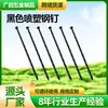 Clavos de Acero con Recubrimiento en Polvo Negro Transfronterizos Clavos de Fijación para Jardín Clavos de Acero Roscados Duraderos Anticorrosión para Exteriores Clavos de Acero de Fijación para Césped