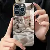 Aplicable a Funda de Vidrio Templado para Apple 18PRO 17PROMAX Cubierta Protectora iPhone16 Viendo el Teléfono Gatito 17E
