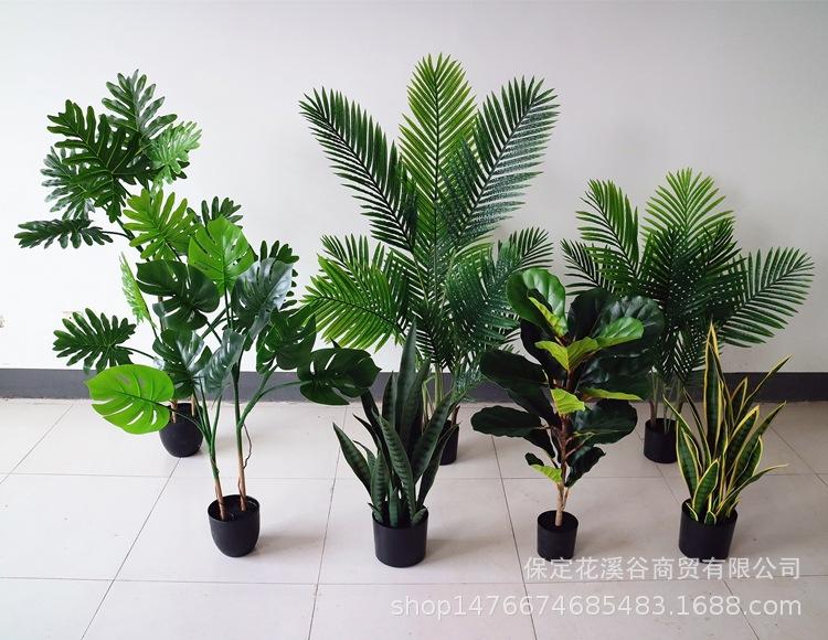 所有 产品对比图_副本.jpg