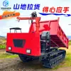 Veículo de Transporte Esteira Pomar Montanha Agrícola Todo-o-terreno Esteira Equipado com Guindaste Montado em Caminhão de Fornecimento Próprio e Máquina de Transporte de Materiais